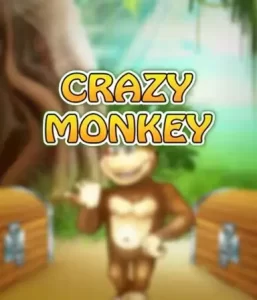 Crazy monkey