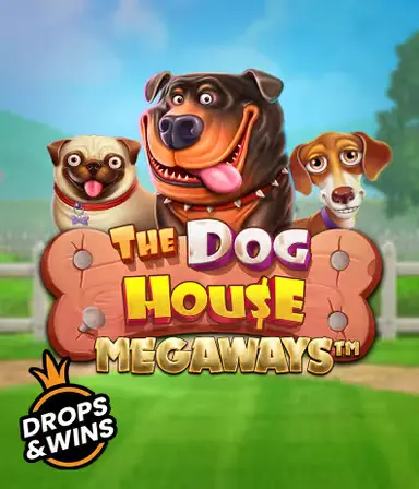 The dog house megaways